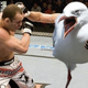 Image for article titled Michael Bay is producing a remake of The Birds